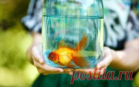 Инструкция для тех, кто хочет привлечь удачу