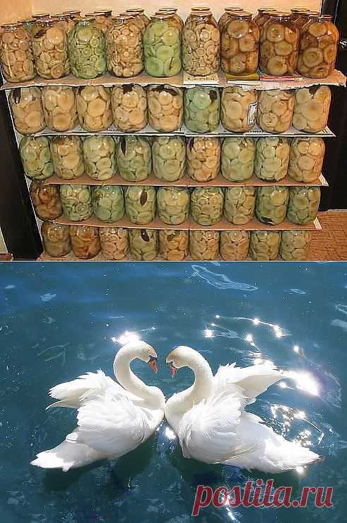 Одноклассники