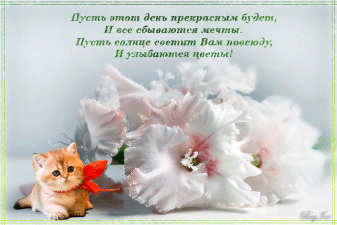 0_b5d80_acd33fea_XL.gif (750×500)