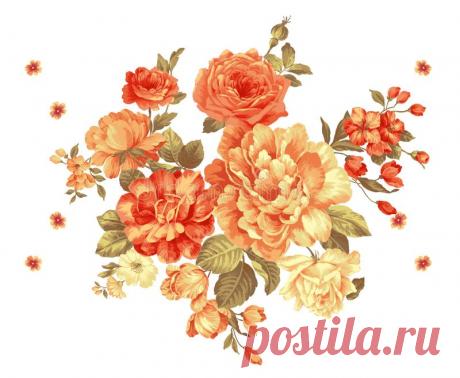 Цветы Clipart Роуз Клип искусства, Валентина Цветы Античный цветок викторианской розы, розовые розы Clipart Винтаж: 984 изображения найдено в Яндекс.Картинках