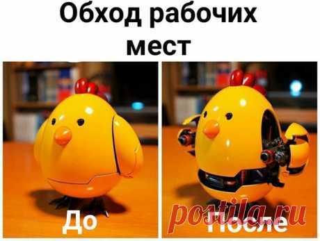 #проверки #жиза #СОТ