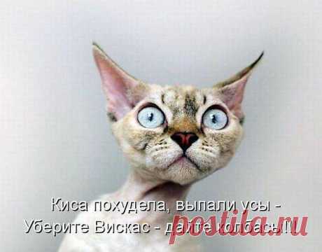 Интересные новости