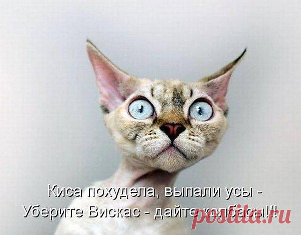 Интересные новости