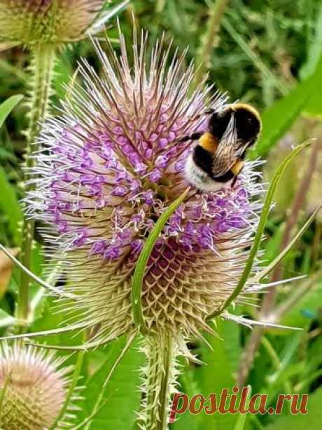Glücksmomente aus der Natur - Fotky