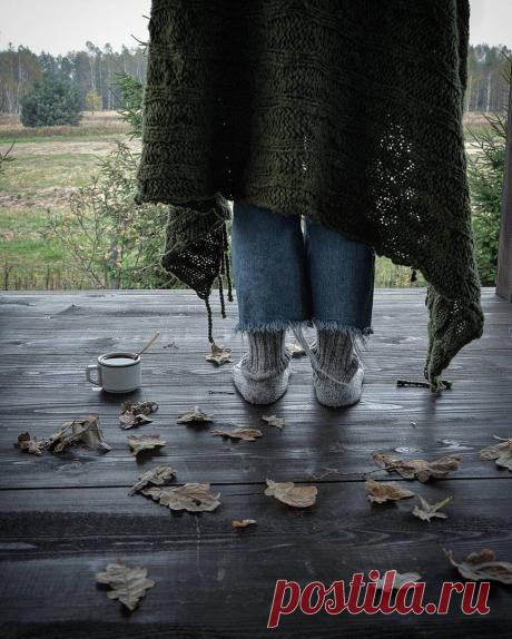 (20) Одноклассники