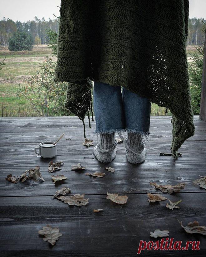 (20) Одноклассники