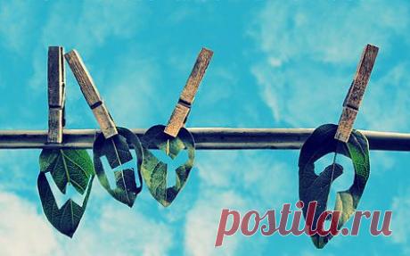 Модный Приговор — Совет - Модный Стилист на связи