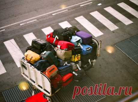 Трудности перевоза: что нужно знать про багаж — National Geographic Россия