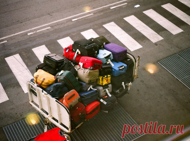 Трудности перевоза: что нужно знать про багаж — National Geographic Россия