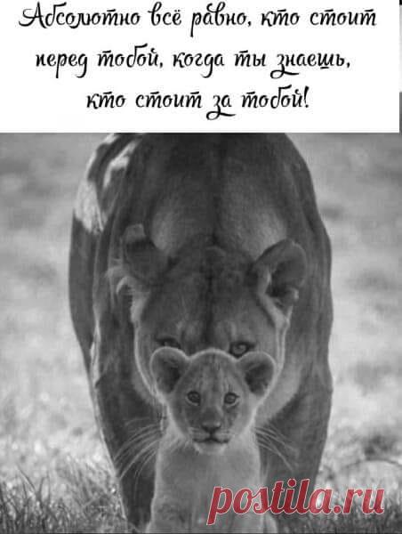 ОГОВОРКА ПО ФРЕЙДУ!!! | Facebook