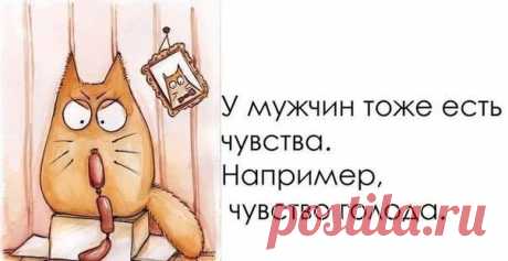 Прикольные жизненные высказывания в картинках