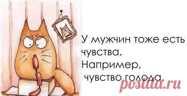 Прикольные жизненные высказывания в картинках