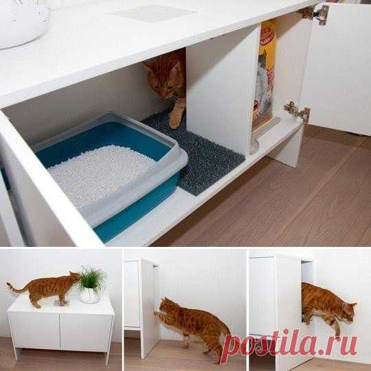 Идеальный кошачий туалет