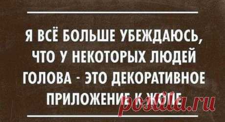 Нереально смешные фразы для хорошего настроения