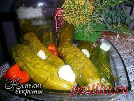 Огурчики &quot;Пикантэ&quot; | Женский журнал