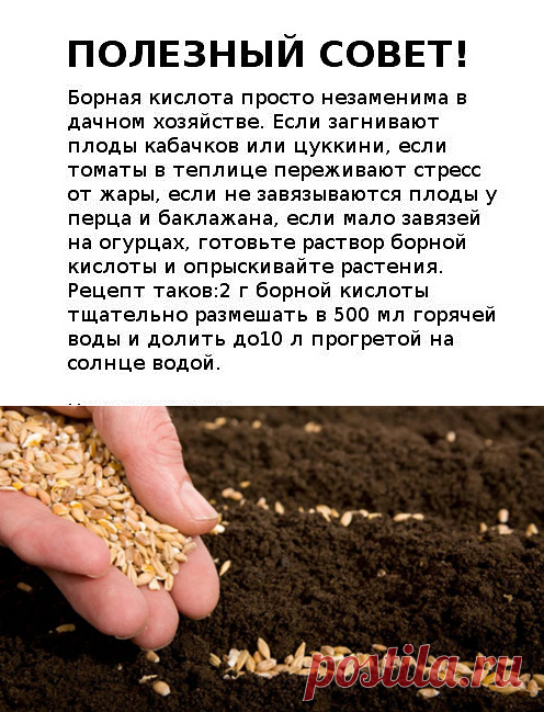 Борная кислота - применение в садоводстве