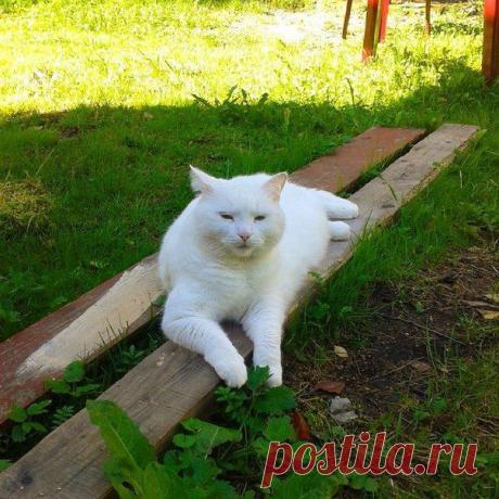 Мой Мир@Mail.Ru