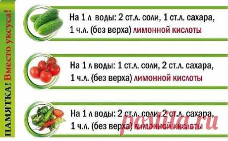 Как я консервирую огурцы, которые никогда не взрываются!