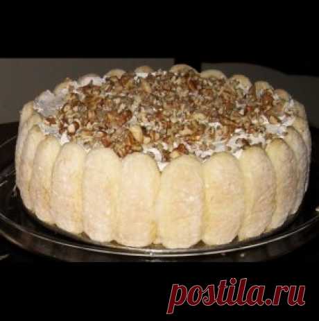 patyk.info - Новините днес