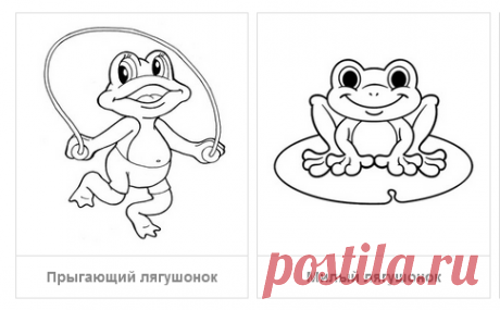 Раскраски Земноводные - скачать или распечатать