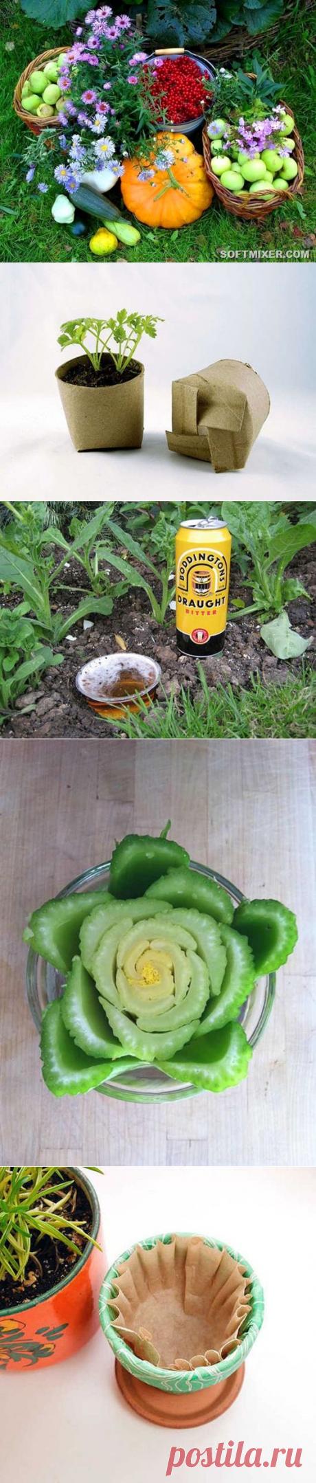 Разные садовые хитрости и полезности