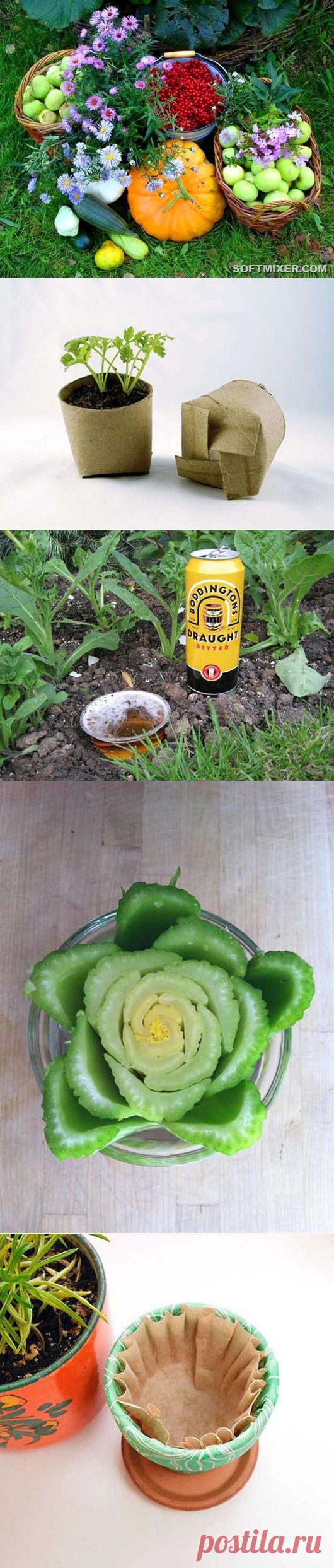Разные садовые хитрости и полезности