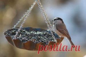 Кормушка для птиц своими руками: хит-парад лучших идей