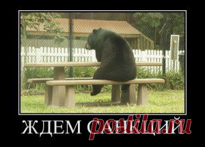 Санкции против России как информационная жвачка