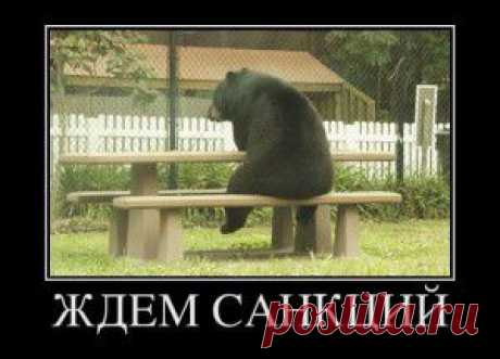 Санкции против России как информационная жвачка