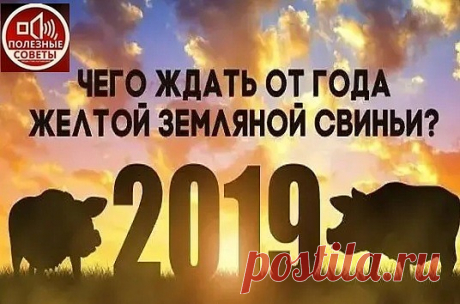 🐽ГОРОСКОП на 2019 год Свиньи🐽 
Что сулит 2019 год каждому из нас? 
ВЫБЕРИ СВОЙ ЗНАК И СМОТРИ РЕЗУЛЬТАТ ...