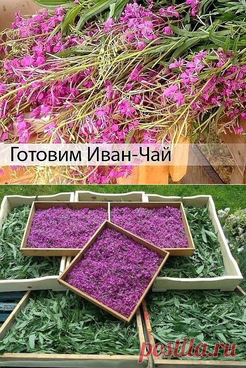Одноклассники