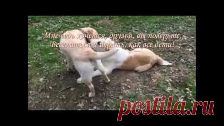Азиат Ко New Life