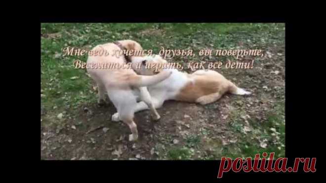 Азиат Ко New Life