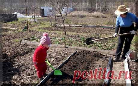 Шпаргалка на конец марта - важные дачные дела: подробно о том, что нужно успеть сделать садоводам и огородникам в марте, на участке | Дачные истории | Дзен