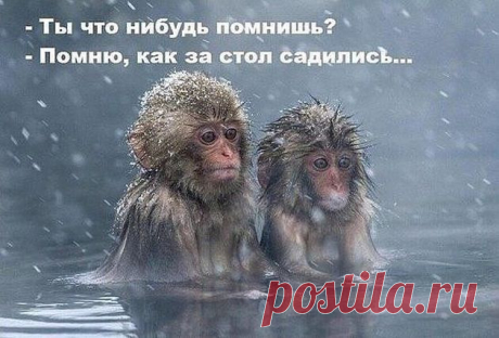- Лейтенант Петpов! - Я! - Хотите полyчить стаpшего лейтенанта? - Здравствуйте! Я ваша новая соседка, на минутку, у вас соль есть?- Здравствуйте! Проходите, раздевайтесь, сейчас вместе поищем.Женщине ночью снится