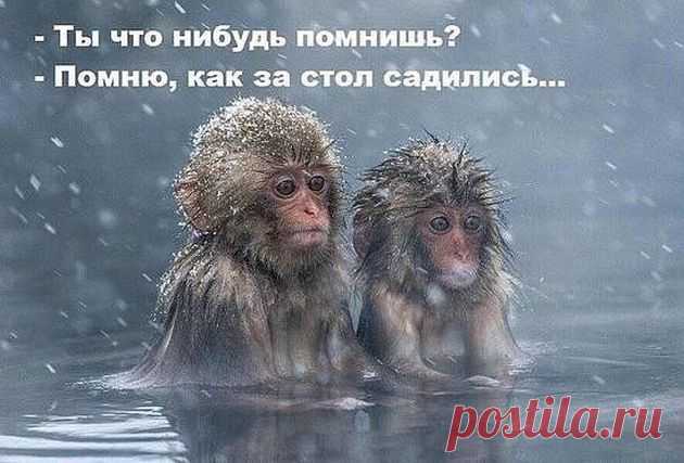 - Лейтенант Петpов! - Я! - Хотите полyчить стаpшего лейтенанта? - Здравствуйте! Я ваша новая соседка, на минутку, у вас соль есть?- Здравствуйте! Проходите, раздевайтесь, сейчас вместе поищем.Женщине ночью снится