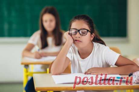 Не сломаться до экзамена. Как помочь детям справиться с СДВГ. Впереди последние учебные недели, а потом — экзамены. У школьников — это ОГЭ и ЕГЭ, у студентов — сессия. Даже если предстоит просто перейти в следующий класс, это тоже волнительно.