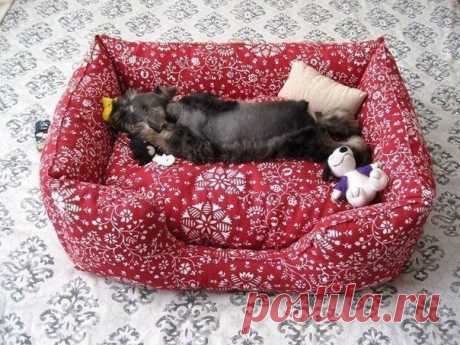 Диванчик для домашнего животного.