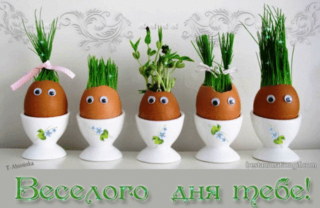 Проростки в скорлупках к Пасхе для здоровья и красоты! (мастер-класс) » Женский Мир