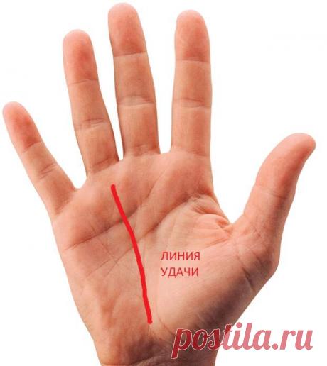 Линия удачи у вас на руке - Сонники, гороскопы, гадания - медиаплатформа МирТесен Хиромантия – одна из древнейших систем предсказаний по человеческой ладони. Специалисты в этой области знаний по линиям на ладони могут рассказать об особенностях характера, о событиях в настоящем и возможных событиях в будущем человека. Хиромантия расшифровывает тайны каждой линии и каждой