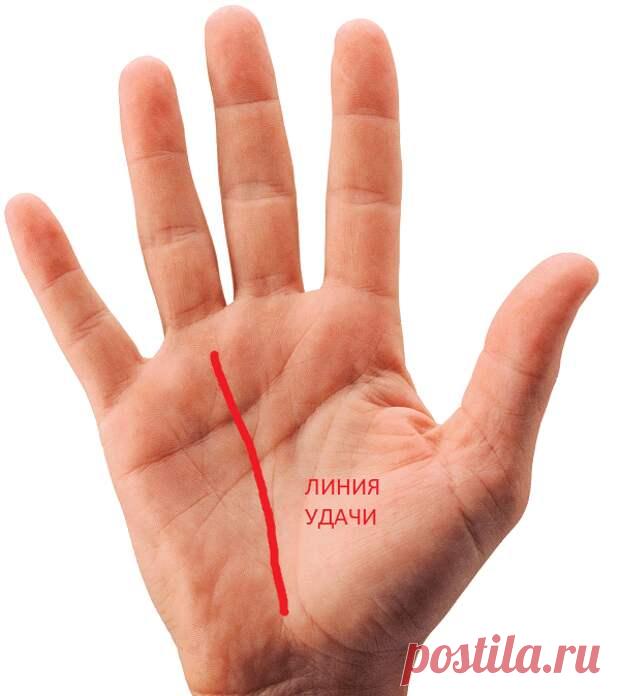 Линия удачи у вас на руке - Сонники, гороскопы, гадания - медиаплатформа МирТесен Хиромантия – одна из древнейших систем предсказаний по человеческой ладони. Специалисты в этой области знаний по линиям на ладони могут рассказать об особенностях характера, о событиях в настоящем и возможных событиях в будущем человека. Хиромантия расшифровывает тайны каждой линии и каждой