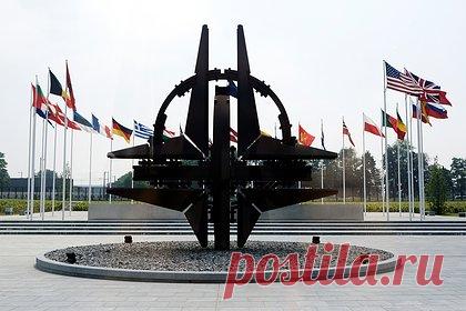 В России оценили вероятность выхода США из НАТО