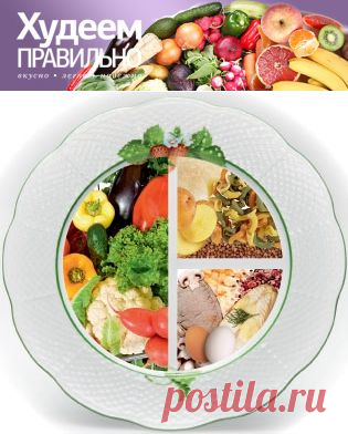 Худеем правильно - Модель тарелки по Системе "Худеем правильно"