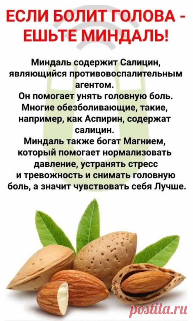 Если болит голова - ешьте миндаль