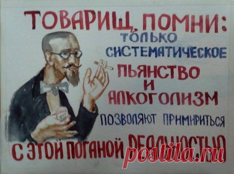 Лучшие маразмы в объявлениях / Писец - приколы интернета