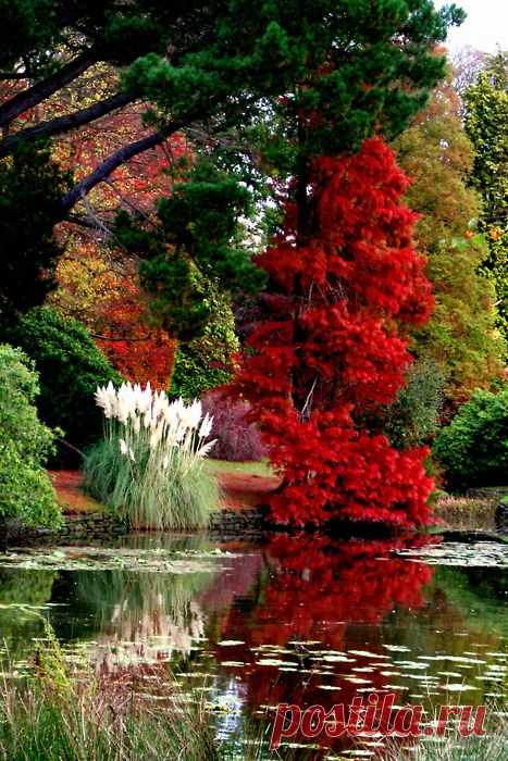 https://ru.pinterest.com/pin/Af9SzEn2KCS0_WYYW5GkxLbam98Do6K-U3Zd8AS9X9uMxN9WnbDqDi4/