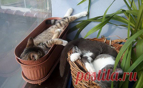 Каждому - СВОЁ!