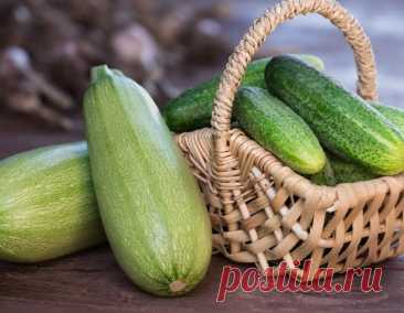 Хрустящее ассорти из огурцов и кабачков на зиму — такое вкусное, что сметается в первую очередь 24.06.25