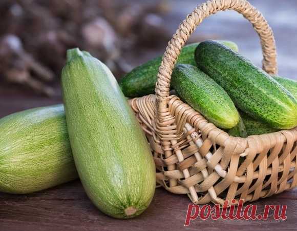 Хрустящее ассорти из огурцов и кабачков на зиму — такое вкусное, что сметается в первую очередь 24.06.25