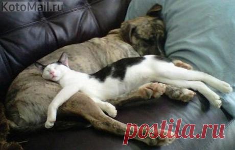 Хорошо устроился